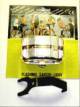 SUPREME BICYCLE REAR FLASHING LIGHT 5 GREEN LED'S