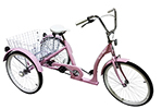 CRUISE MASTER TRICYCLE - PINK <font color=blue> - IN STOCK!  FREE SHIPPING</font >